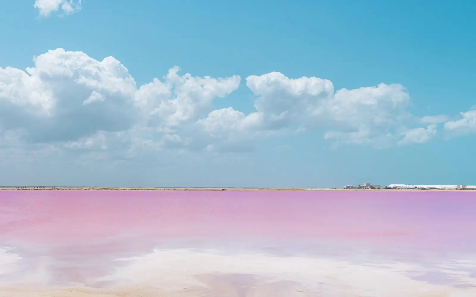 Las lagunas rosas de Las Coloradas, en la costa norte de Yucatán