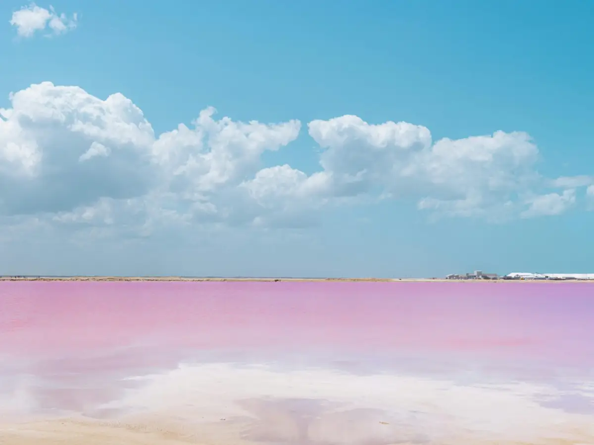 Las Coloradas and Río Lagartos