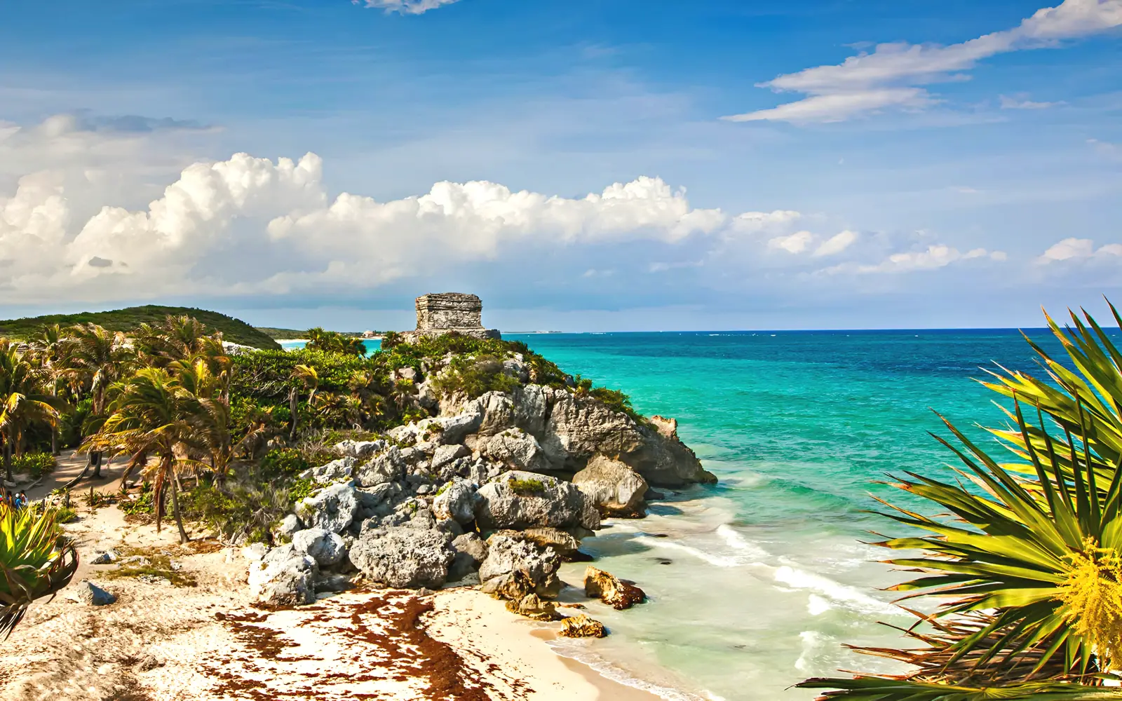 Tulum and the Casa Tortuga cenotes