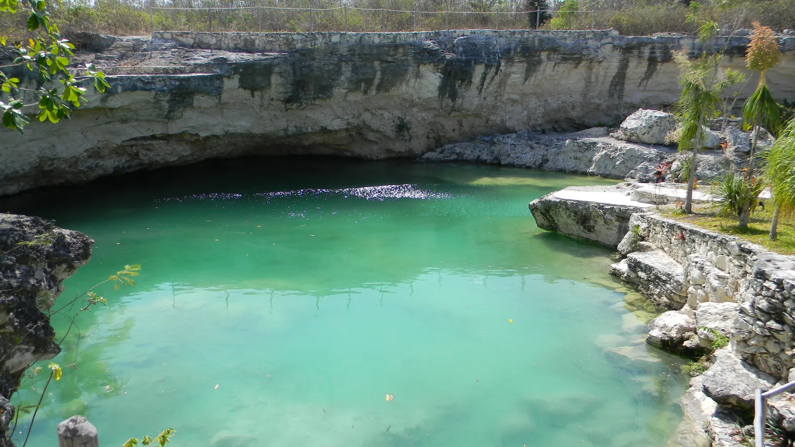 Cenote de agua verde en Yucatán