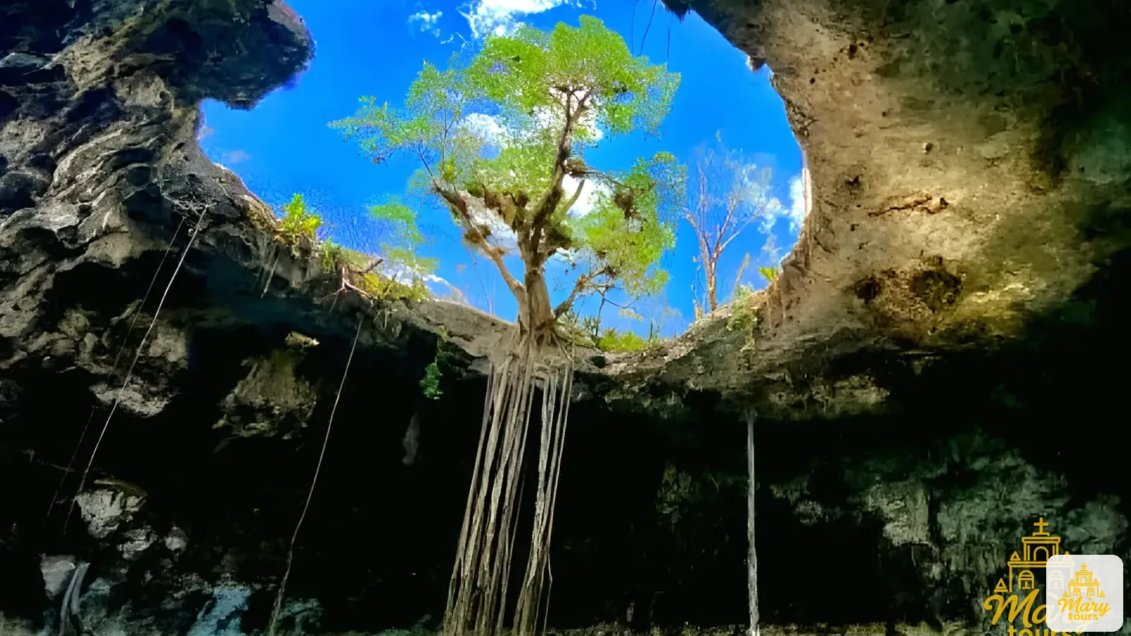 Mary Tours illustrative image for the guide "Cenote or cave: two sides of the same underground world"
