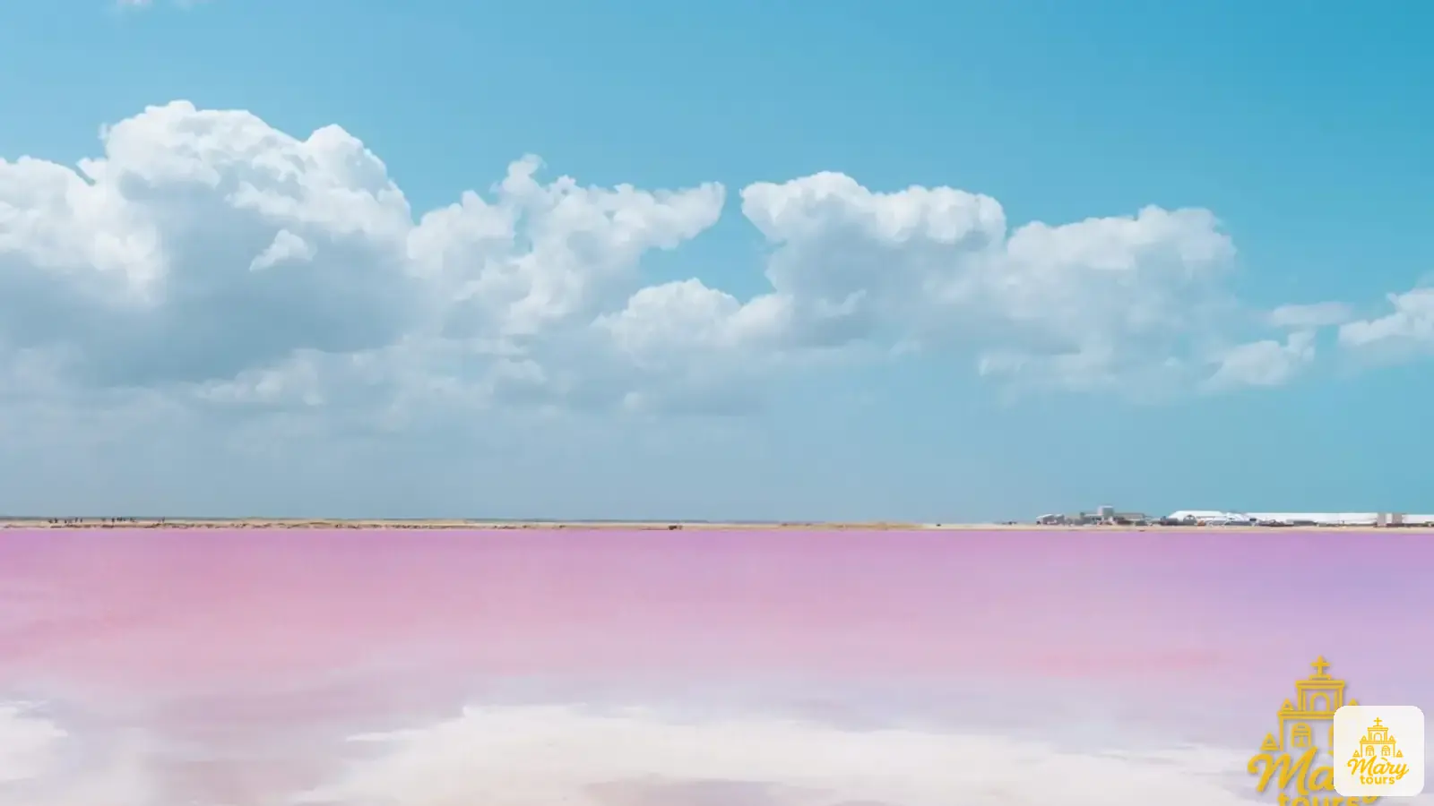 Mary Tours illustrative image for the guide "Yucatán's mangroves: the forests that live between land and sea"